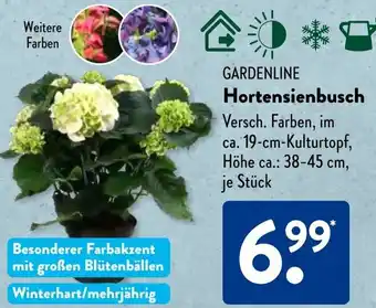 Aldi Süd Gardenline Hortensienbusch Angebot