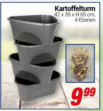 CENTERSHOP Kartoffelturm Angebot