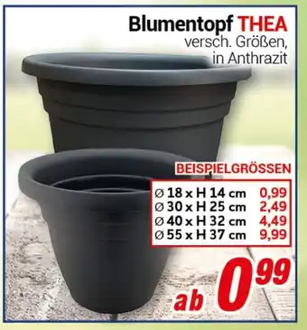 CENTERSHOP Blumentopf THEA Angebot