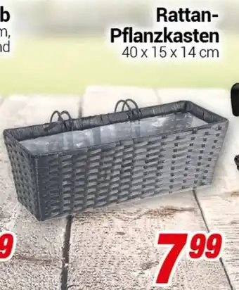 CENTERSHOP Rattan-Pflanzkasten Angebot