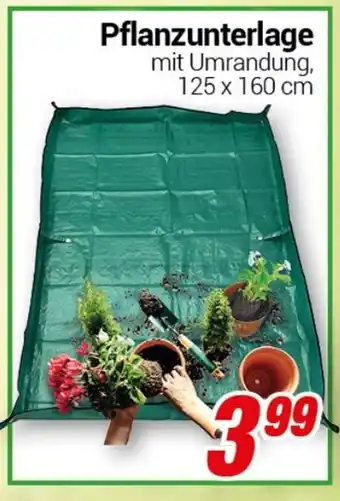 CENTERSHOP Pflanzunterlage Angebot