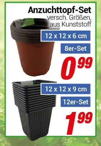 CENTERSHOP Anzuchttopf-Set 12er-Set Angebot