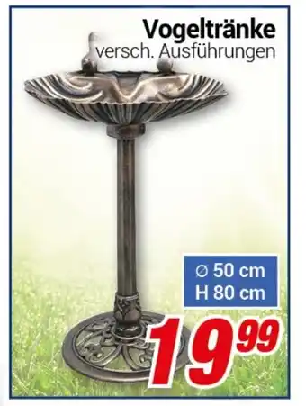 CENTERSHOP Vogeltranke Angebot