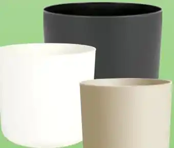 Thomas Philipps Übertöpf Angebot