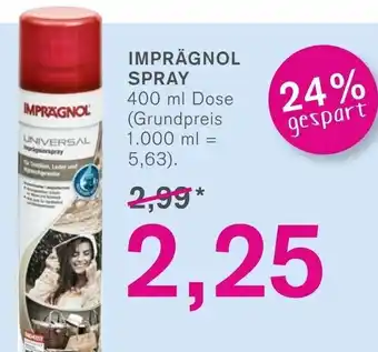 KODi Imprägnol Spray 400ml Angebot