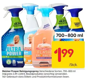 Rusta Meister Proper Reinigungsspray 700-800ml Angebot