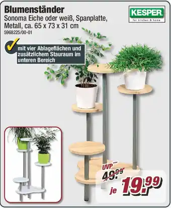 Poco KESPER Blumenständer Angebot