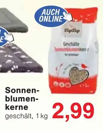 Wiglo Wunderland Sonnen- blumen- kerne Angebot