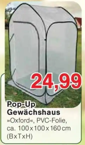 Jawoll Pop-Up Gewächshaus Angebot