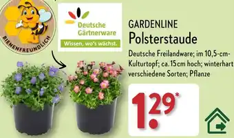 Aldi Nord GARDENLINE Polsterstaude Angebot