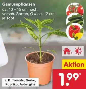 Netto Marken-Discount Gemüsepflanzen Angebot