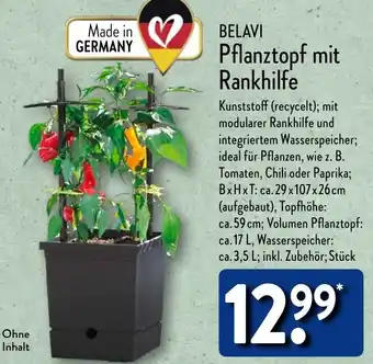 Aldi Nord BELAVI Pflanztopf mit Rankhilfe Angebot