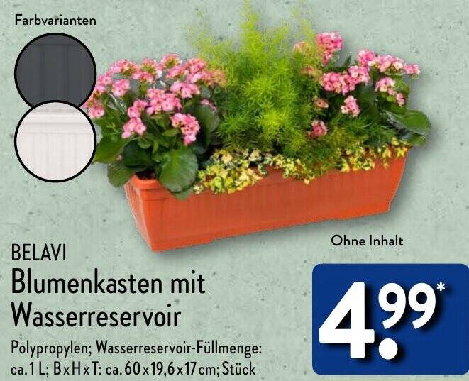 BELAVI Blumenkasten mit Wasserreservoir Angebot bei Aldi Nord