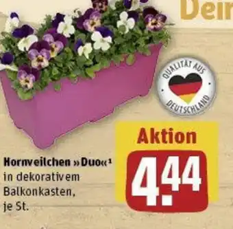 REWE Hornveilchen Duo Angebot