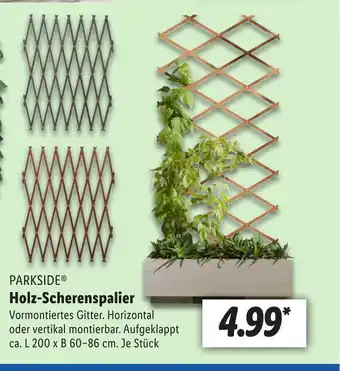 Lidl PARKSIDE Holz-Scherenspalier Angebot