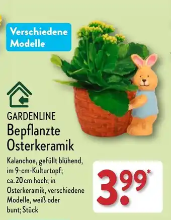 Aldi Nord GARDENLINE Bepflanzte Osterkeramik Angebot