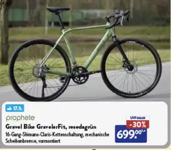 Aldi Nord prophete Gravel Bike GravelerFit, resedagrün Angebot