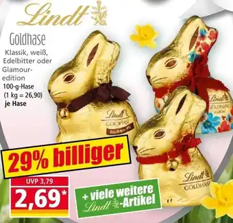 Norma Lindt Goldhase 100 g Angebot