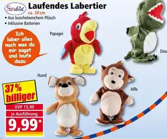Norma Sunkid Laufendes Labertier Angebot