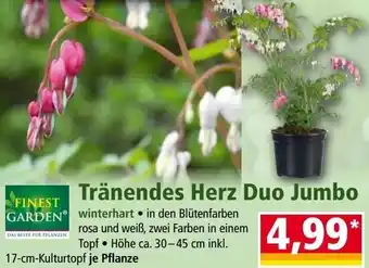 Norma FINEST GARDEN Tränendes Herz Duo Jumbo Angebot