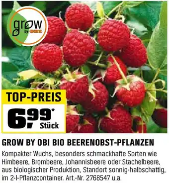 OBI GROW BY OBI BIO BEERENOBST-PFLANZEN Angebot