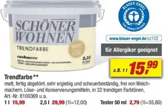 toom Baumarkt SCHÖNER WOHNEN Trendfarbe 1 L Angebot