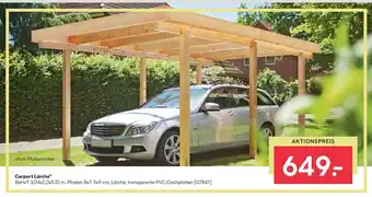 BayWa Carport Lärche Angebot