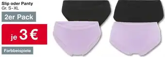 Woolworth Slip oder Panty Gr. S-XL Angebot