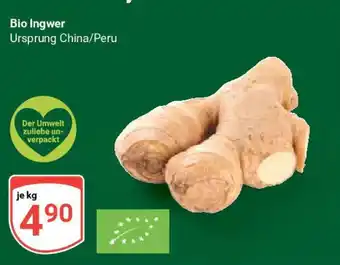 Globus Bio Ingwer Ursprung China/Peru Angebot