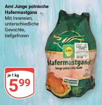 Globus Ami Junge polnische Hafermastgans 1 kg Angebot