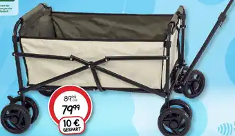 Vedes Bollerwagen Angebot