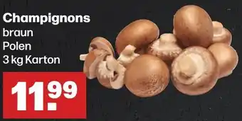 Handelshof Champignons braun Polen 3 kg Karton Angebot