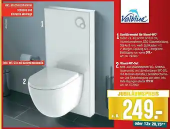 Hellweg Valblue Sanitärmodul Für Wand-wc Wand-wc-set Angebot