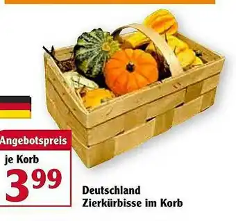 Globus Deutschland Zierkürbisse Im Korb Angebot