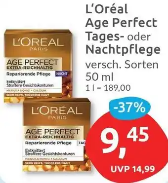 Budni L'Oréal Age Perfect Tages oder Nachtpflege 50 ml Angebot