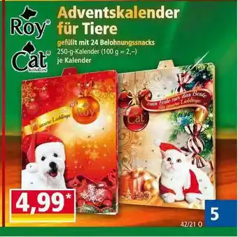 Norma Roy Cat Adventskalender Für Tiere Angebot