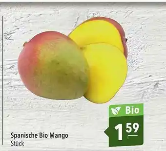 CITTI Markt Spanische Bio Mango Angebot