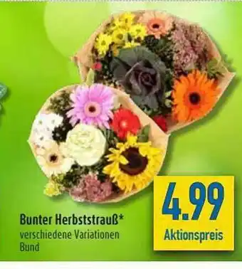 diska Bunter Herbststrauß Angebot