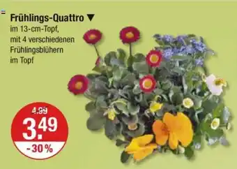 V Markt Frühlings-Quattro Angebot