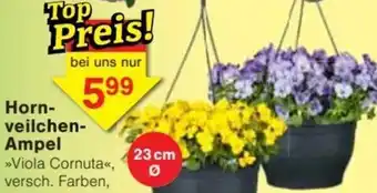 Jawoll Hornveilchen Ampel Angebot