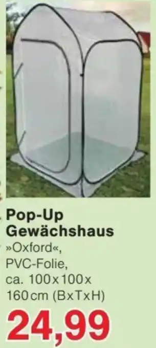 Jawoll Pop-Up Gewächshaus Angebot