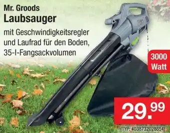 Zimmermann Mr. Groods Laubsauger 3000 Watt Angebot