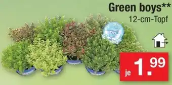 Zimmermann Green boys Angebot