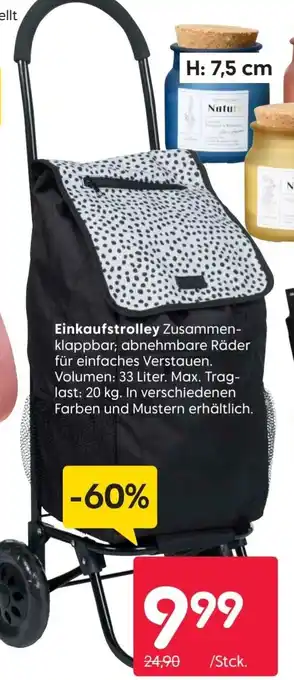 Rusta Einkaufstrolley Angebot