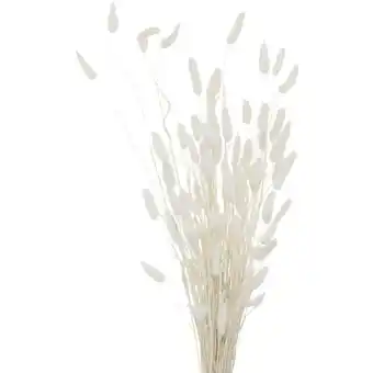 ManoMano Boltze Gruppe - Deko-Zweige für Vase, getrocknet, 70 cm Angebot