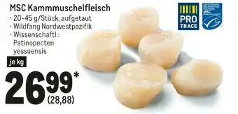 METRO Msc kammmuschelfleisch Angebot