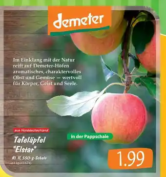 Famila Nord West Tafeläpfel „elstar” Angebot