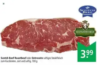 Marktkauf Scotch Beef Roastbeef Oder Entrecote Angebot