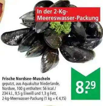 Marktkauf Frische Nordsee-muscheln Angebot