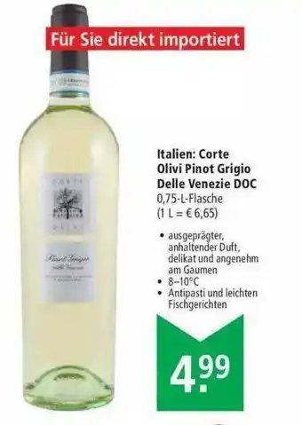 Marktkauf Corte Olivi Pinot Grigio Delle Venezie Doc Angebot